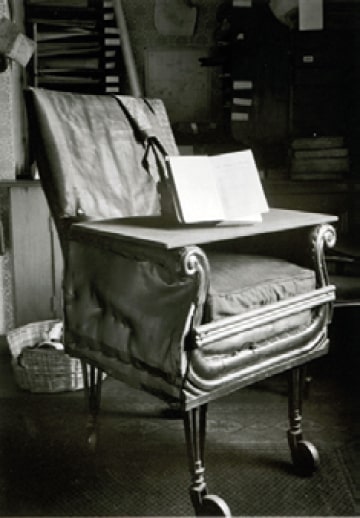 صندلی داروین